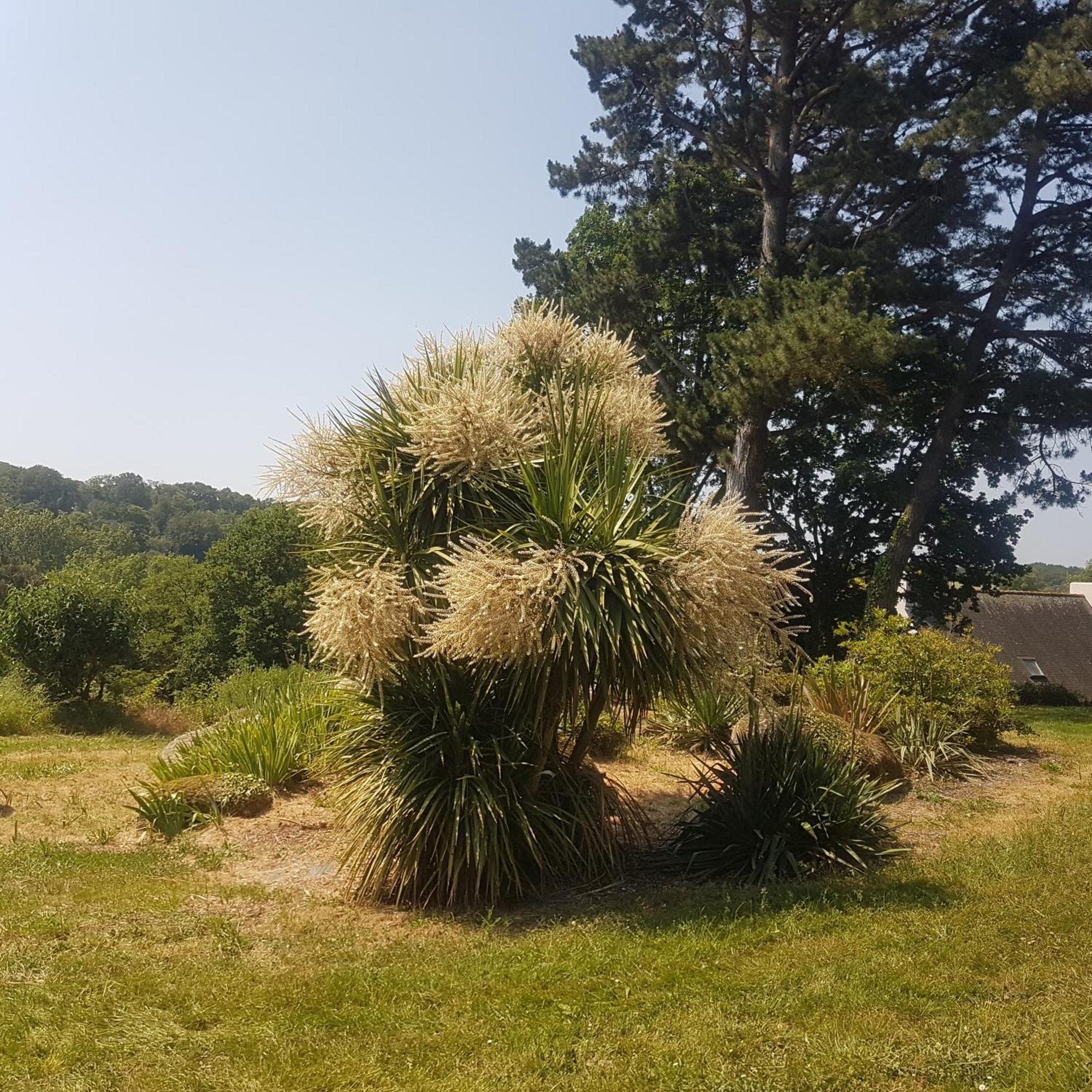 若瑟兰Domaine De La Chesnaie住宿加早餐旅馆 外观 照片