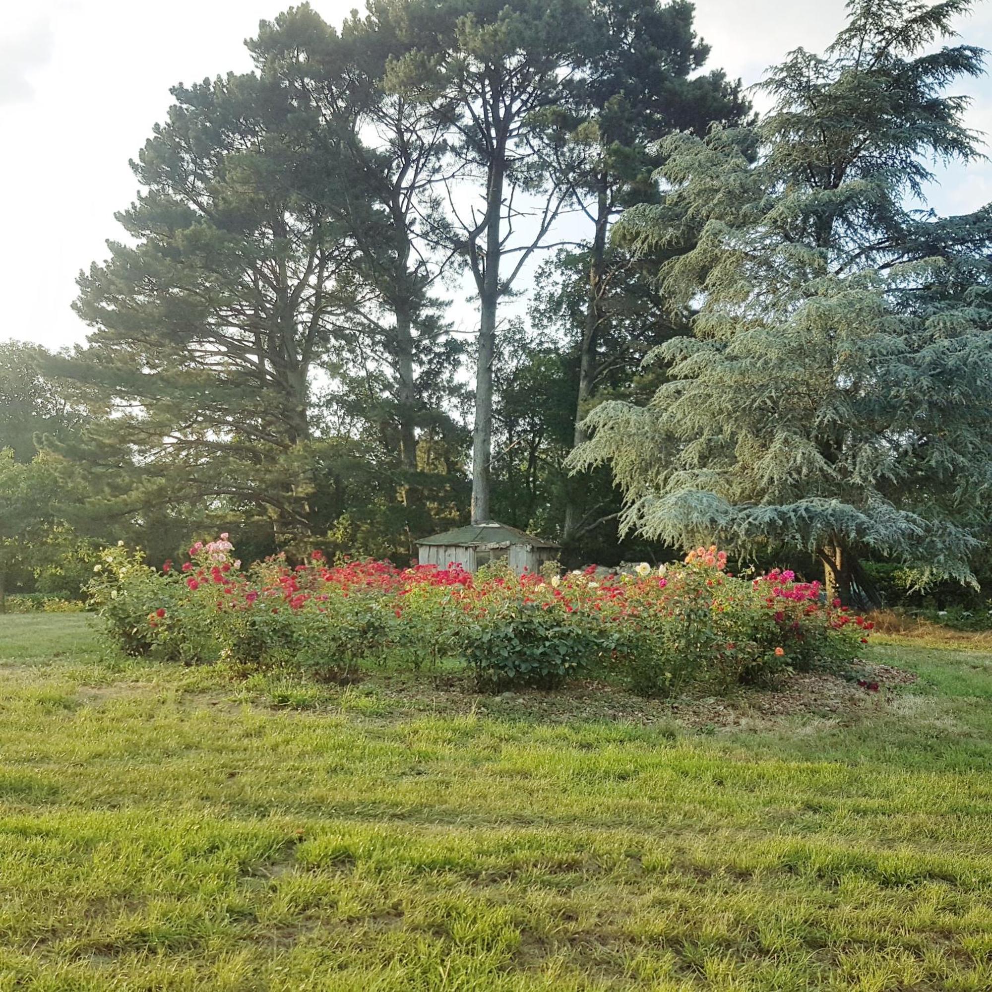 若瑟兰Domaine De La Chesnaie住宿加早餐旅馆 外观 照片