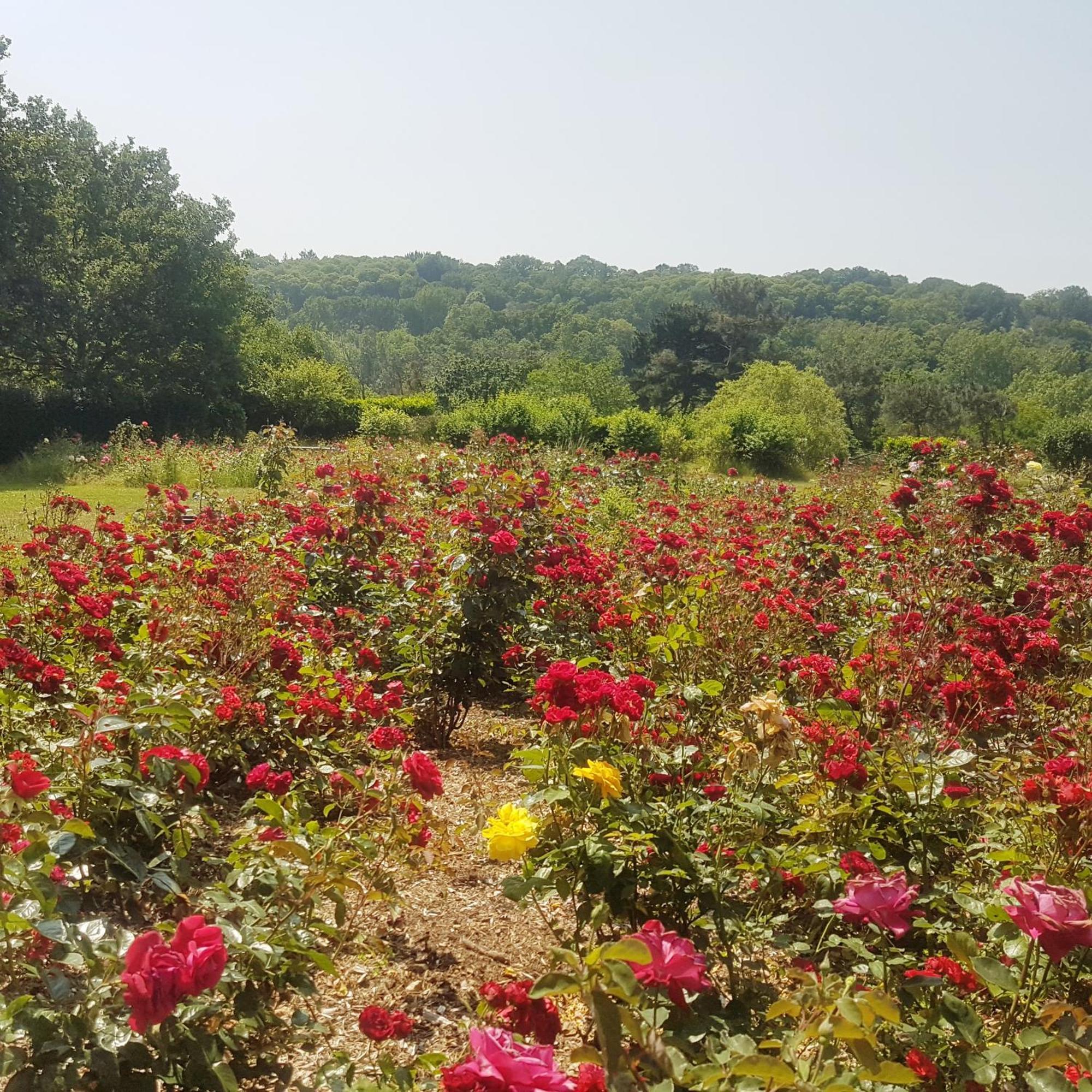 若瑟兰Domaine De La Chesnaie住宿加早餐旅馆 外观 照片